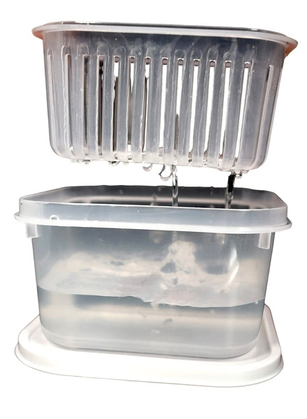 HeadySwabs – Banger TANK