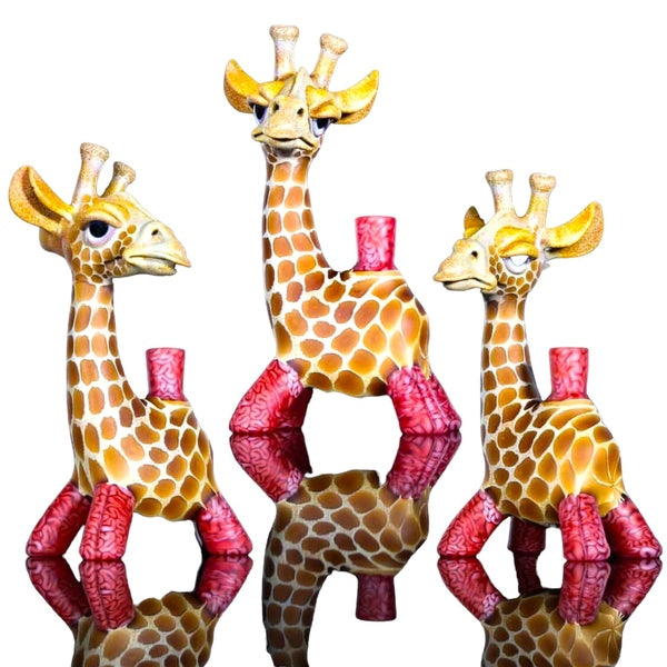 Robertson x Algae Giraffe