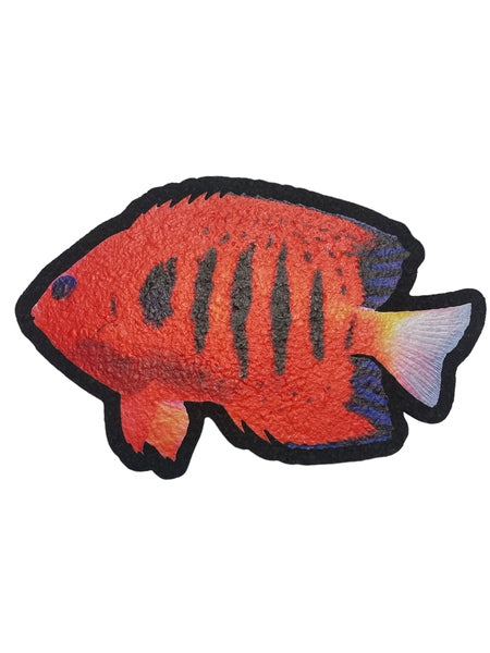 2023 Flame Angel Moodmat