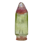 GemCup Glass Pivot Top