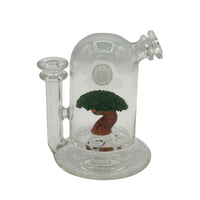 Encased Bonsai Rig