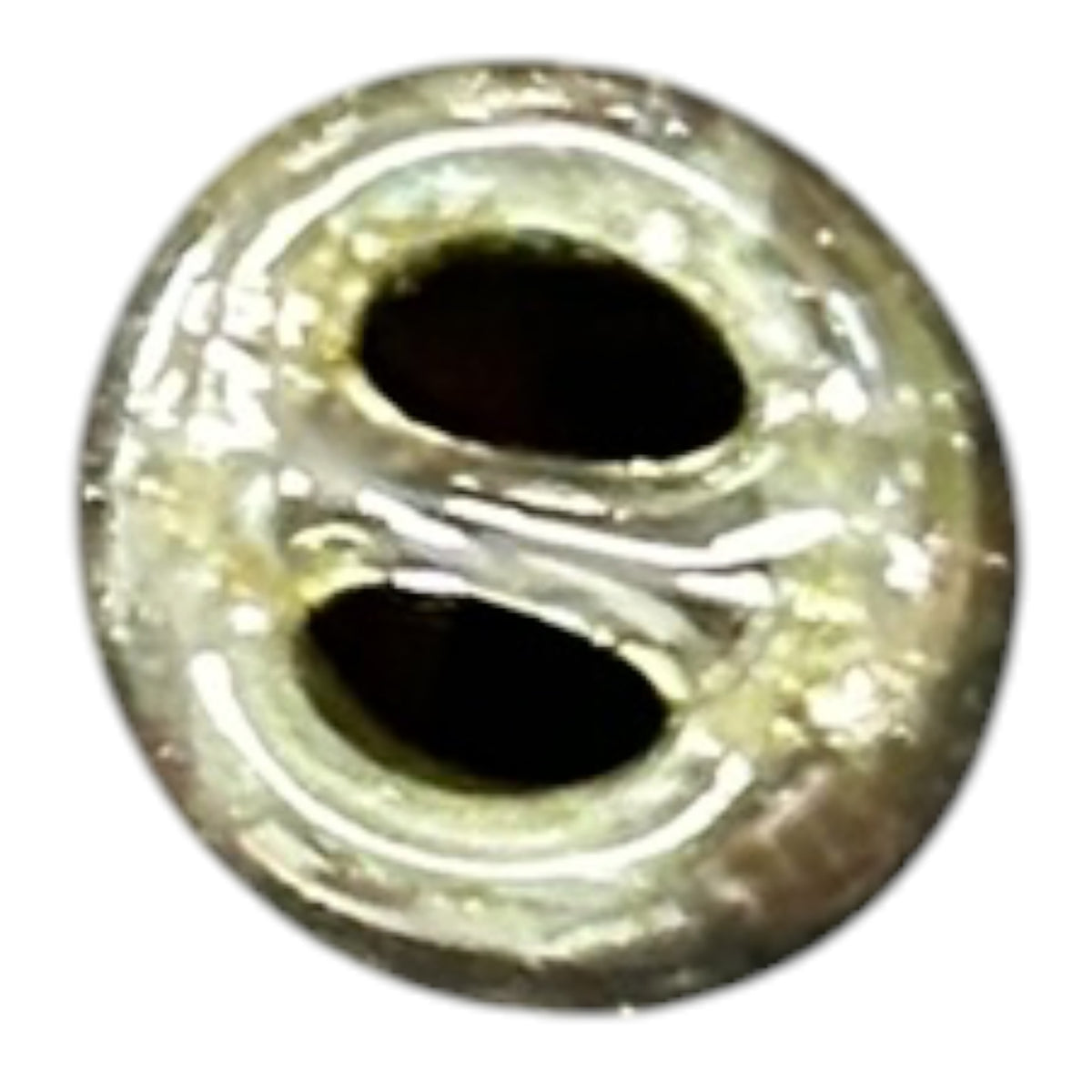 SteveH Blunt Tip
