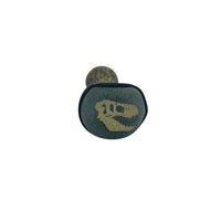 Fossil Stone Pipe