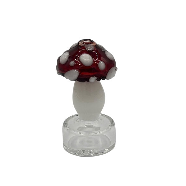 Stoney Chicken Mushroom Dry Top