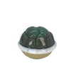 Turtle Shell Pocket Vibes Marble