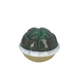 Turtle Shell Pocket Vibes Marble