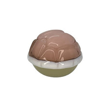 Load image into Gallery viewer, Turtle Shell Pocket Vibes Marble